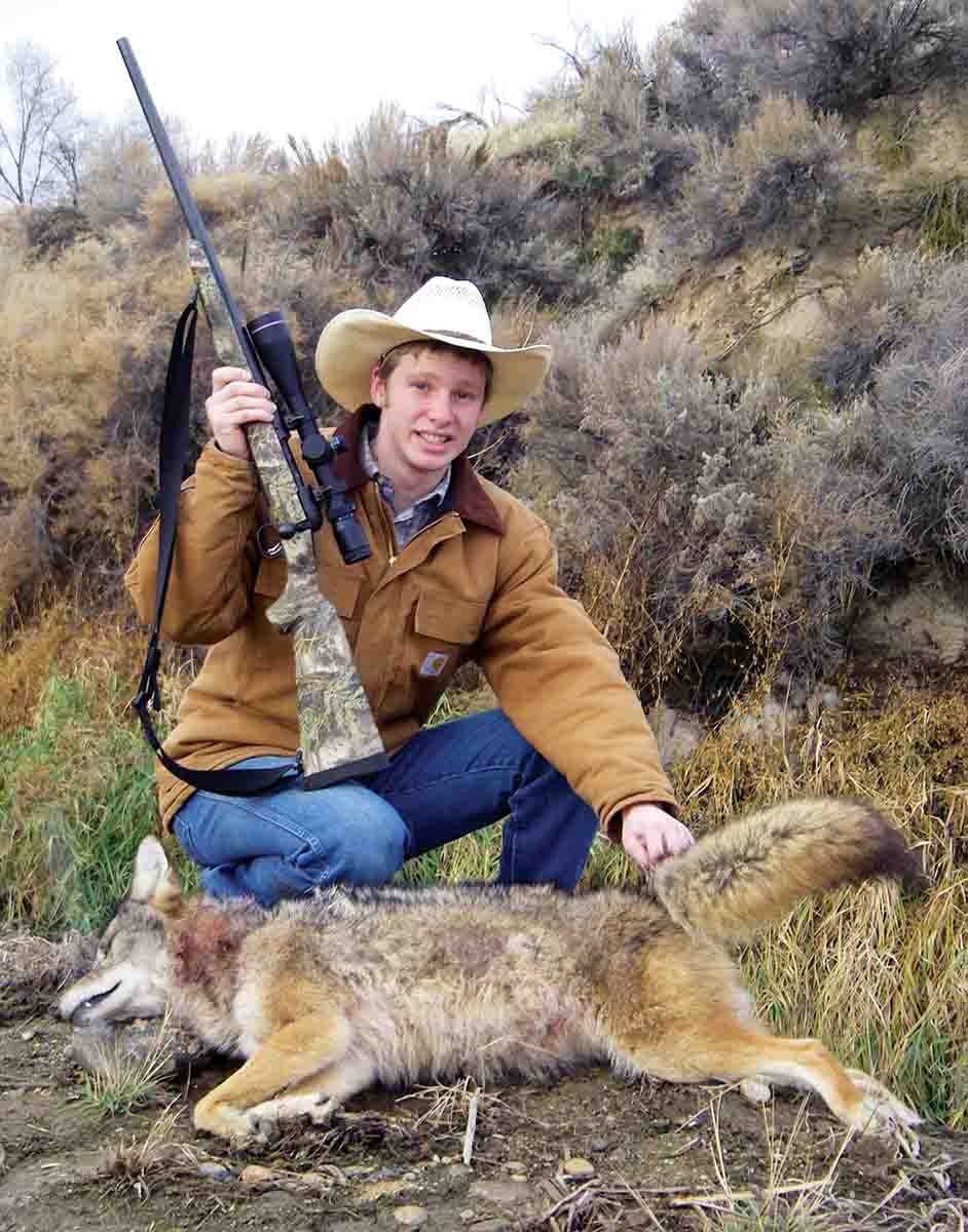 The .22-250 Remington is a fabulous field cartridge that is ideal for taking varmints such as this large Idaho coyote.